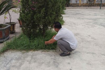 Chủ nhật xanh – Trường TH Trực Đạo.